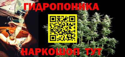 ПСИЛОЦИБИНОВЫЕ ГРИБЫ Канаш