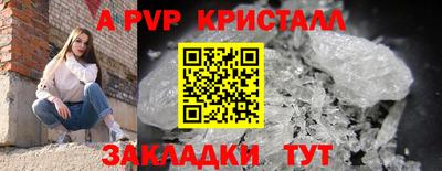 амф Кандалакша