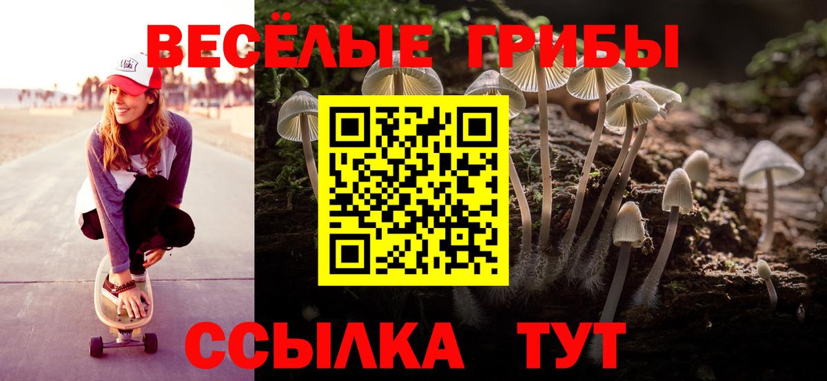 Галлюциногенные грибы прущие грибы Лабинск